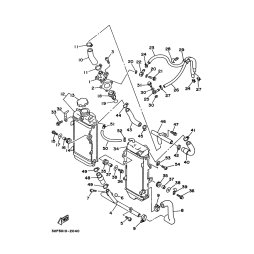 ROHR 1