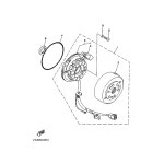 STATOR KOMPL.