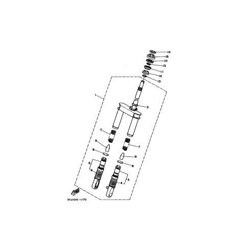 INNERES GABELBEINROHR 1
