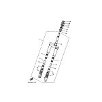 INNERES GABELBEINROHR 2