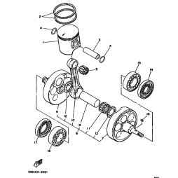 KOLBEN (0.25MM UG)