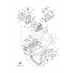 OIL SEAL