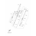 INNERES GABELBEINROHR 1
