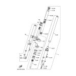 INNERES GABELBEINROHR 1