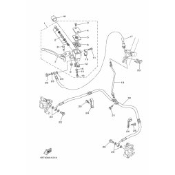 HALTER, BREMSSCHLAUCH