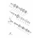 ZAHNRAD, 3. RITZEL
