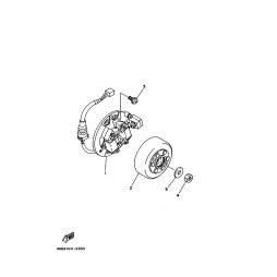 STATOR KOMPL.