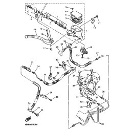 HALTER, BREMSSCHLAUCH