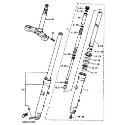 GABELBEIN (LINKS)