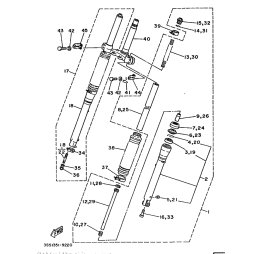 GABELBEIN (LINKS)