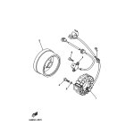 STATOR KOMPL.