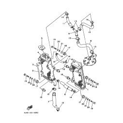 ROHR 5