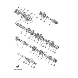 GEAR, REVERSE WHEEL 2