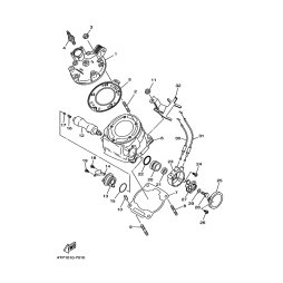 HOLDER REAR CUSION