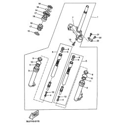 INNERES GABELBEINROHR 1