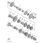HALTER, KETTENRAD