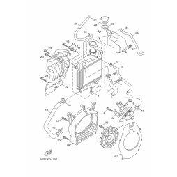 ROHR 1