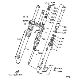 GABELBEIN (LINKS)