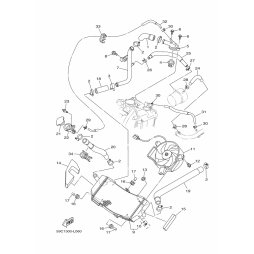 ROHR 6