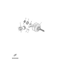 KOLBEN (STD) OHNE RINGE ETC