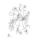 SENSIBILITAT,GESCHWINIG