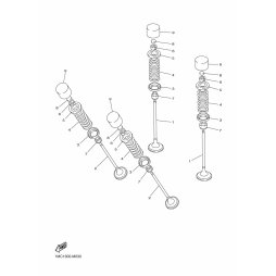 HALTER, VENTILFEDER