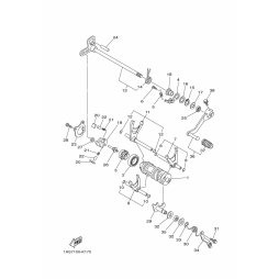 HALTER, FEDER
