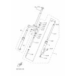 INNERES GABELBEINROHR 1