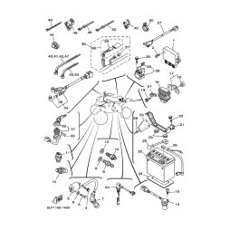 SENSIBILITAT,GESCHWINIG