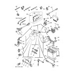 SENSIBILITAT,GESCHWINIG