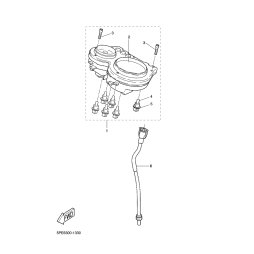 STECKER,NEUTRAL