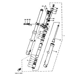 GABELBEIN (LINKS)