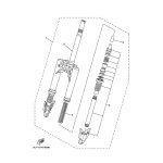 INNERES GABELBEINROHR 1