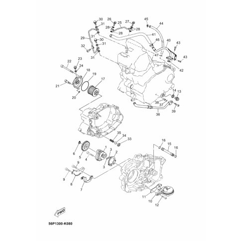 FORDERROHR 1