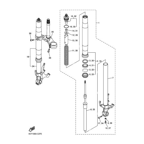 INNERES GABELBEINROHR 2