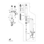 INNERES GABELBEINROHR 2