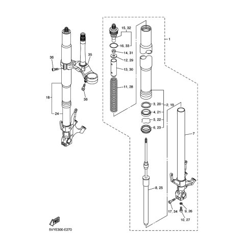 INNERES GABELBEINROHR 2