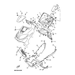 BODY, COWLING