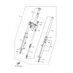 INNERES GABELBEINROHR 1