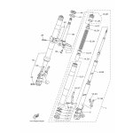 INNERES GABELBEINROHR 2