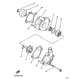 PASSFEDER