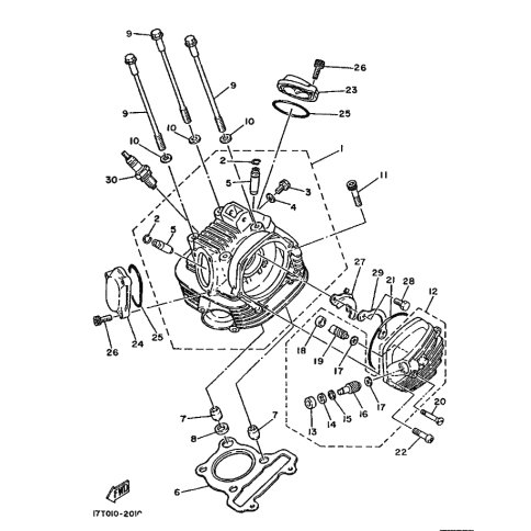 BOLT, SPECIAL (316)