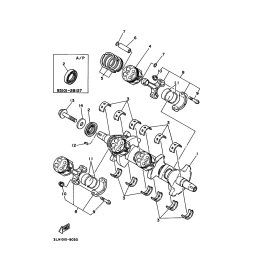 OIL SEAL(3LN)