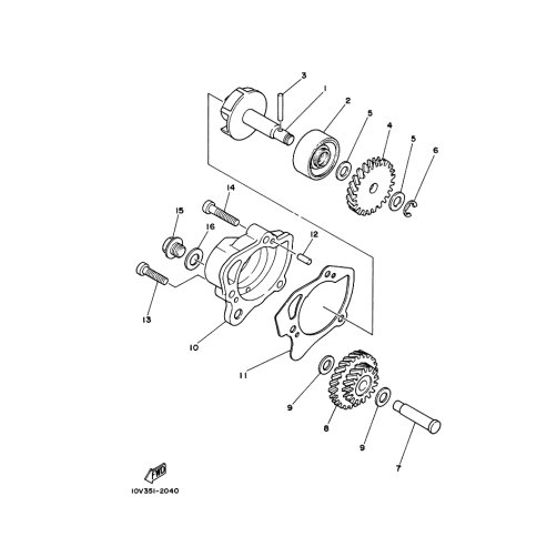 OIL SEAL(36F)