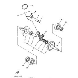 OIL SEAL (5X2)