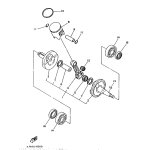 OIL SEAL (5X2)