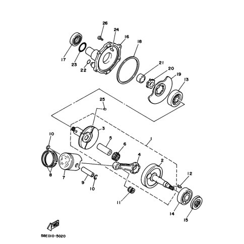 O-RING
