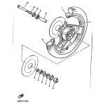 VALVE, RIM (2M0)