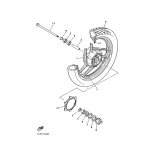 VALVE, RIM(47X)