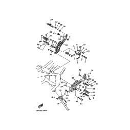 NUT (1M1)